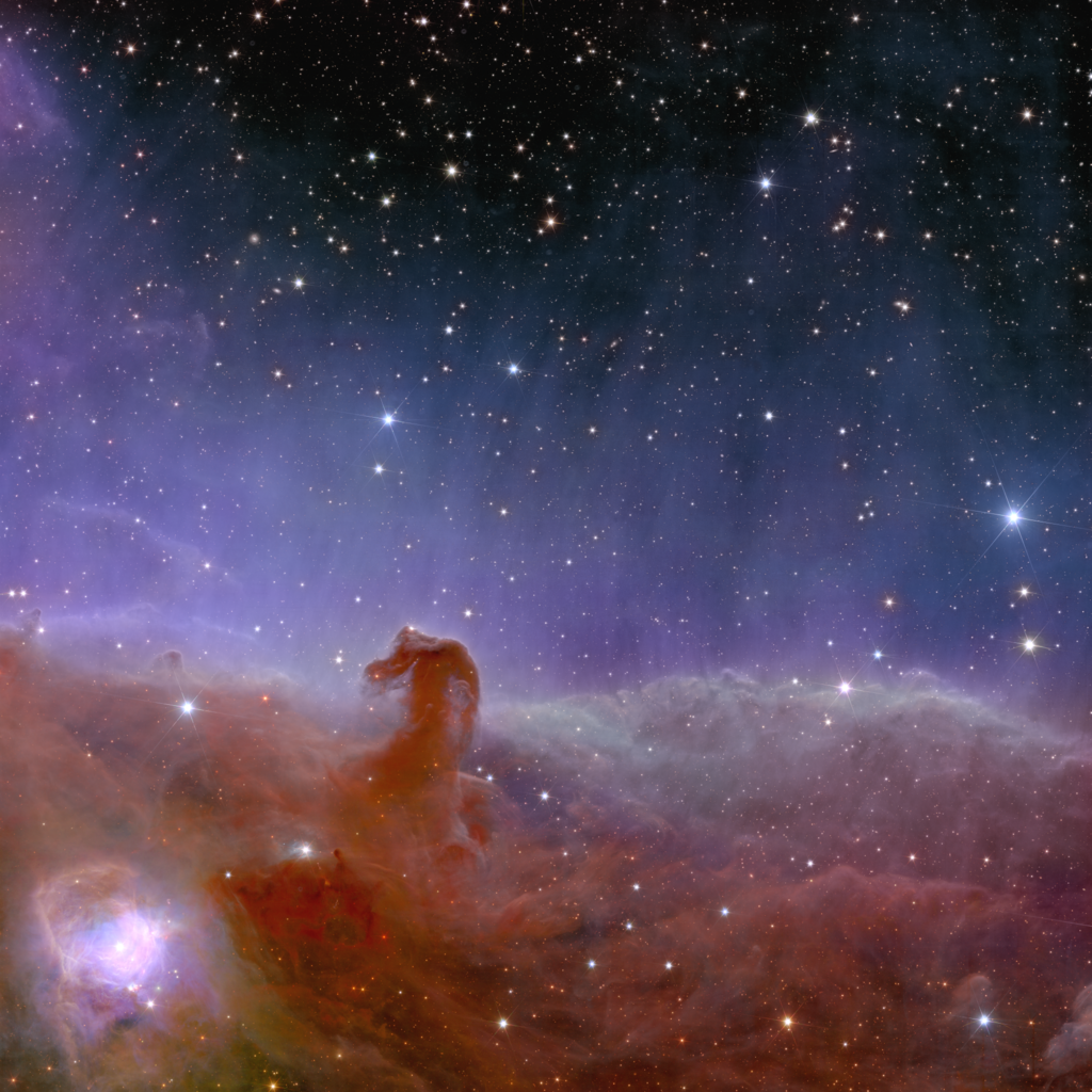 Horsehead Nebula, Orion Constellation. Image taken by the Euclid Space Telescope. Image Credit: ESA/Euclid/Euclid Consortium/NASA, image processing by J.-C. Cuillandre (CEA Paris-Saclay), G. Anselmi, CC BY-SA IGO 3.0